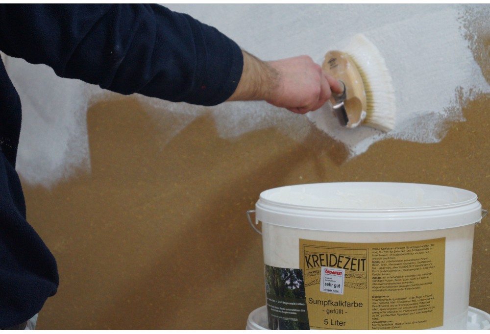 Découvrez la peinture anti-moisissure : ses avantages, son utilisation et  comment l'appliquer